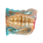 Pocket Silicone Glans Trainer - Wavy - Image 3