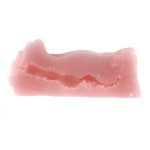 Pussy Pocket Pal - 28 Age - Image 4