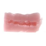 Pussy Pocket Pal - 16 Age - Image 4