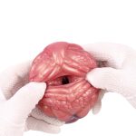 Geeba Dragon Pocket Vagina Masturbator - 04 - Image 5