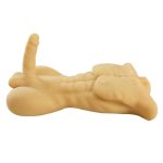 Daniel Half Body Doll With Penis For Female - Image 4