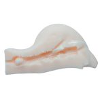 Joshua Red Plum Realistic Ass Masturbator - Image 3