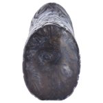 Bizzarre Beast Monkey Fake Pussy - Image 12