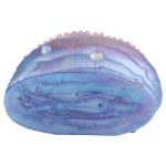 Fantasy Abalone Pussy Pocket - Image 4