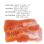 Bison Animal Pussy Stroker - Image 5