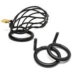 Bird Cage Chastity Device - Image 8