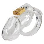 CB 6000S Male Chastity Device Clear - Image 2