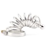 Master Series Asylum 6 Stainless Steel Chastity Cage - Image 2