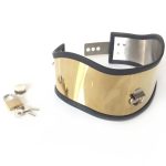 Posture Adjustable Stainless Steel Collar - Image 7