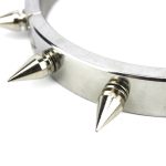 Male And Female Stainless Steel Spiked Dog Collars - Image 4