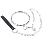 Stainless Steel Bandage Collar and Leash Set