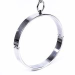 Chrome Collar with Nipple Clamps - Image 2