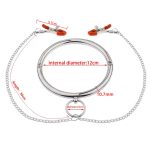 Stainless Steel Chrome Slave Collar with Nipple Clamps - Image 2