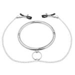 Stainless Steel Chrome Slave Collar with Nipple Clamps - Image 3