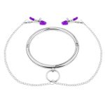 Stainless Steel Chrome Slave Collar with Nipple Clamps - Image 4