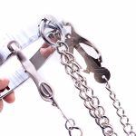 Chrome M Slave Collar With Japanese Clover Clamps - Image 3