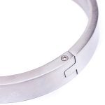 Chrome Slave Collar With Japanese Clover Clamps - Image 3