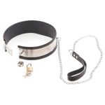Rapture Steel Band Collar With Leash - Image 7