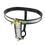 Female Steel Premium Chastity Belt - Image 6