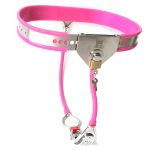 Silicone Liner Female Chastity Belt with No Hole - Image 4