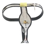 Trap Locking Male Chastity Belt with Cock Cage - Image 4