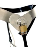 Invisible Lockable T-Back Chastity Panties with Hole - Image 2