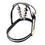 Double Removable Anal Plug Chastity Belt - Image 4