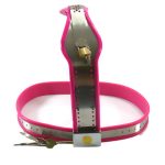 Chastity Belt with One Locking Vaginal Plug - Image 3