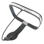 Curve-T Premium Female Chastity Belt with Locking Cover - Image 8