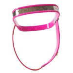 Curve-T Premium Female Chastity Belt with Locking Cover - Image 9