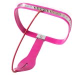 Curve-T Premium Female Chastity Belt with Locking Cover - Image 11