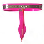 Curve-T Premium Female Chastity Belt with Locking Cover - Image 2