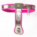 Curve-T Premium Female Chastity Belt with Locking Cover - Image 5