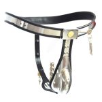 Male Premium Chastity Device with Cock Cage - Image 6