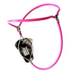 Invisible Chastity Belt With  Shield Cage - Image 4