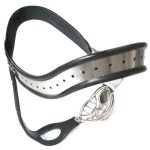 EMCC Hollow Cage Chastity Belt With Ass Hole - Image 2