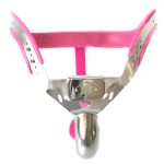 T4 Y Style Bent Cage Chastity Belt - Image 3
