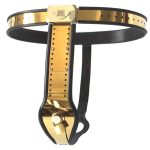 Golden Female Adjustable Rigid Chastity Belt - Image 6