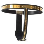 Golden Female Adjustable Rigid Chastity Belt - Image 7