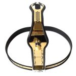 Golden Female Adjustable Rigid Chastity Belt - Image 2