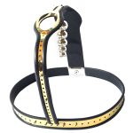 Golden Female Adjustable Rigid Chastity Belt - Image 3