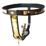 Golden Female Adjustable Rigid Chastity Belt - Image 4