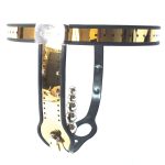 Golden Female Adjustable Rigid Chastity Belt - Image 5