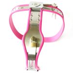 Female Adjustable Rigid Chastity Belt - Image 5