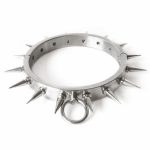 Spiked Stainless Steel Bondage Kit - Image 4