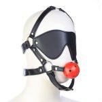 Harness Ball Gag With Blinder