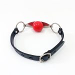 Stainless Steel Tongue Ball Gag - Image 4
