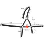 Ball Gag Head Harness - Image 3