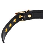 Spider Golden Gag - Image 2