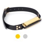 Harmonica Bit Gag - Image 6